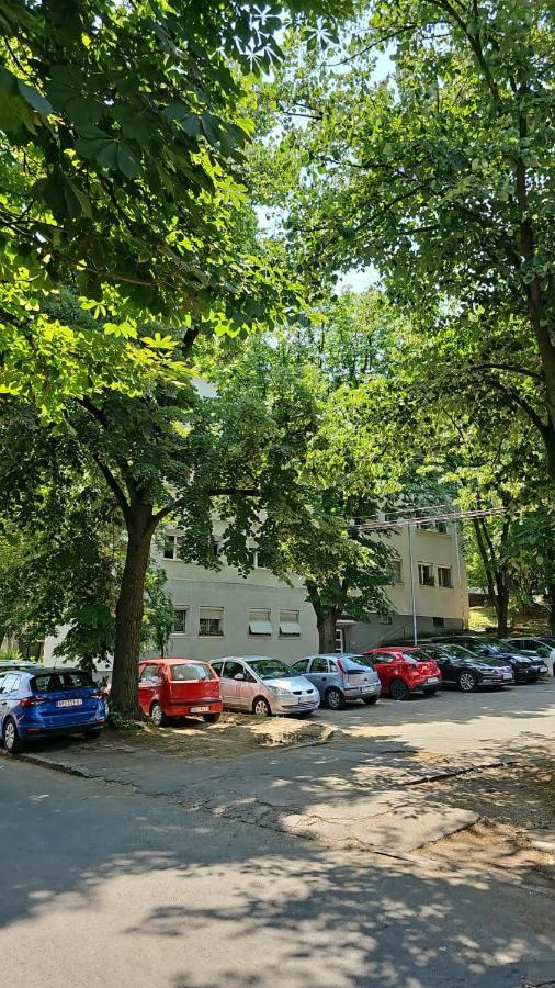 贝尔格莱德Apartman Maja公寓 外观 照片