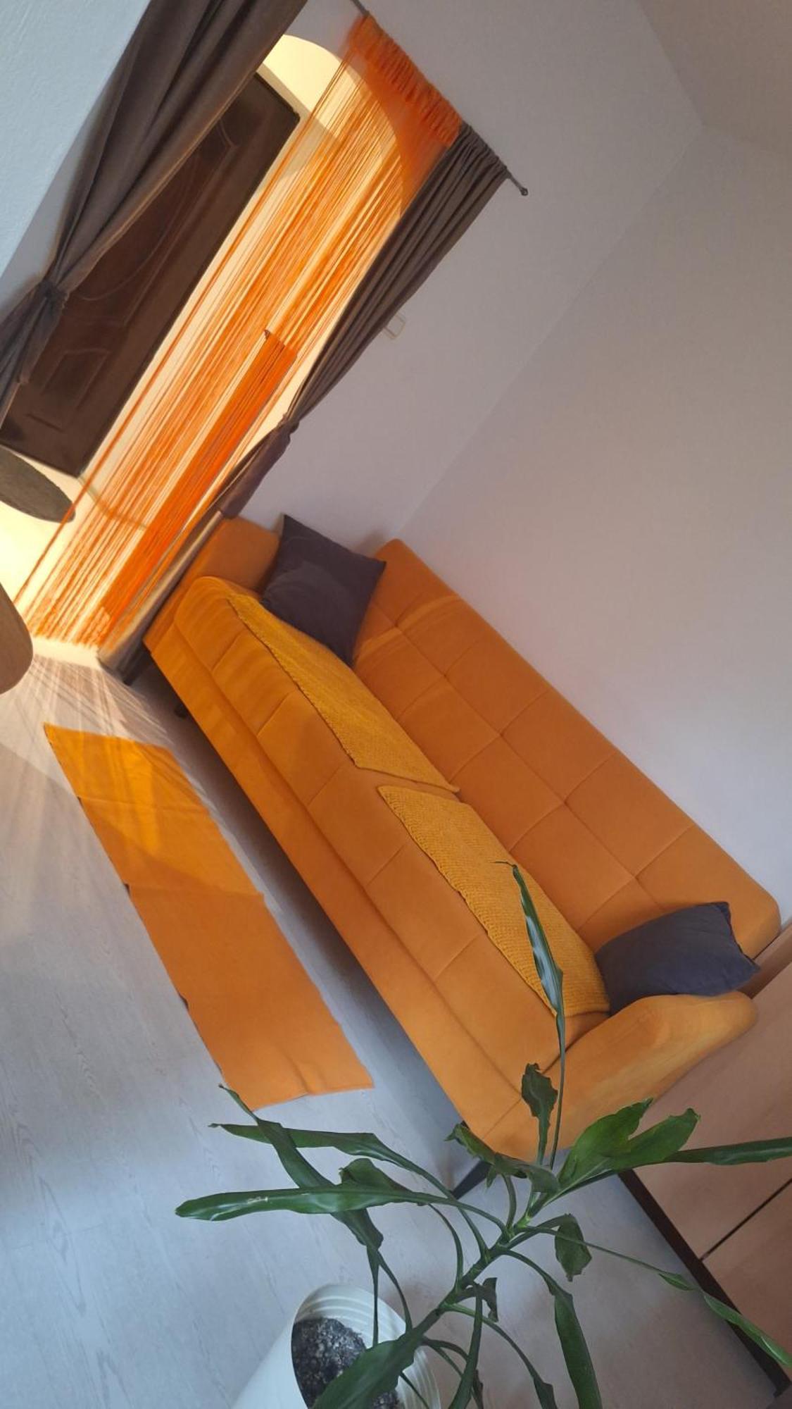 贝尔格莱德Apartman Maja公寓 外观 照片
