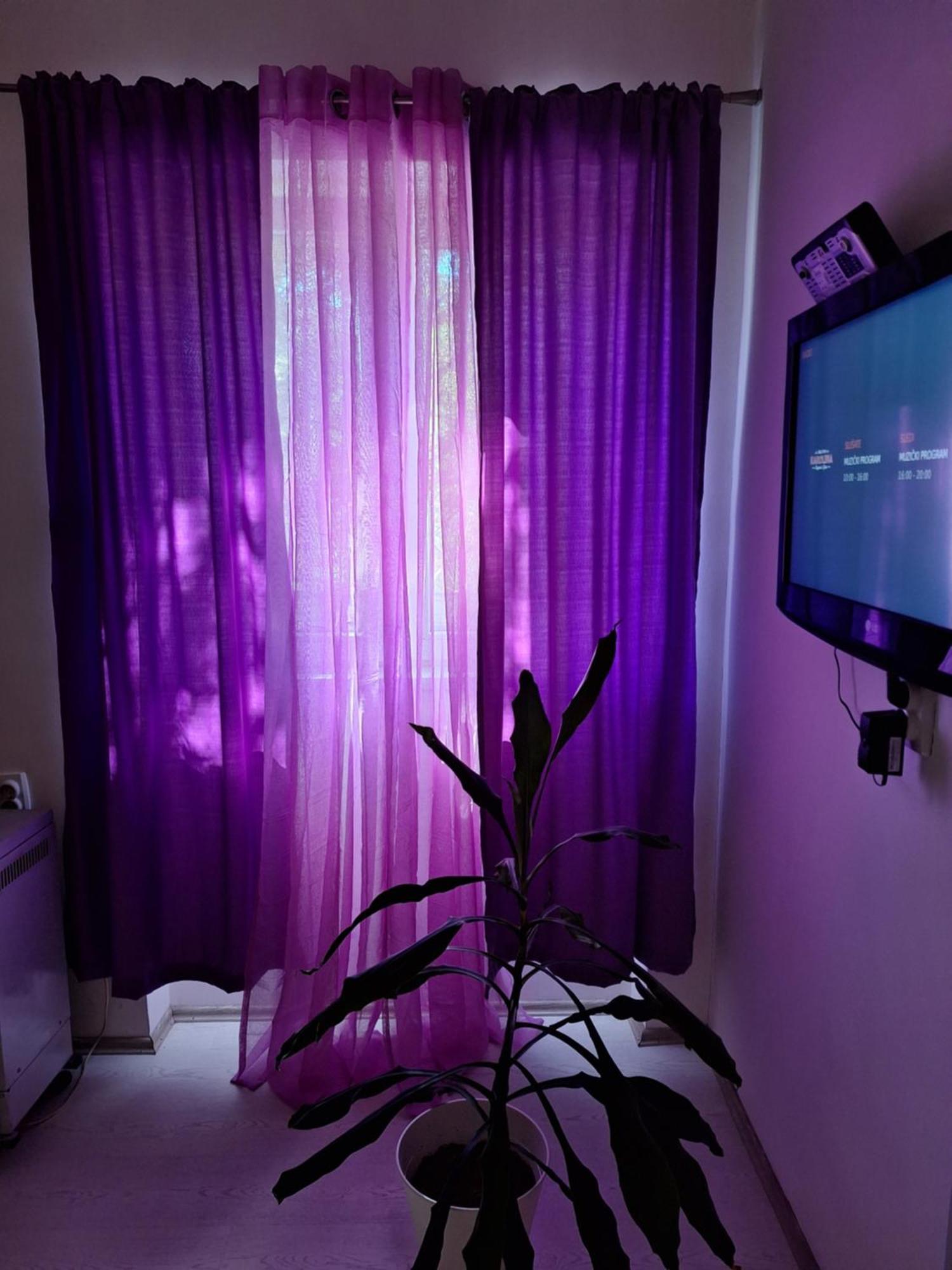 贝尔格莱德Apartman Maja公寓 外观 照片