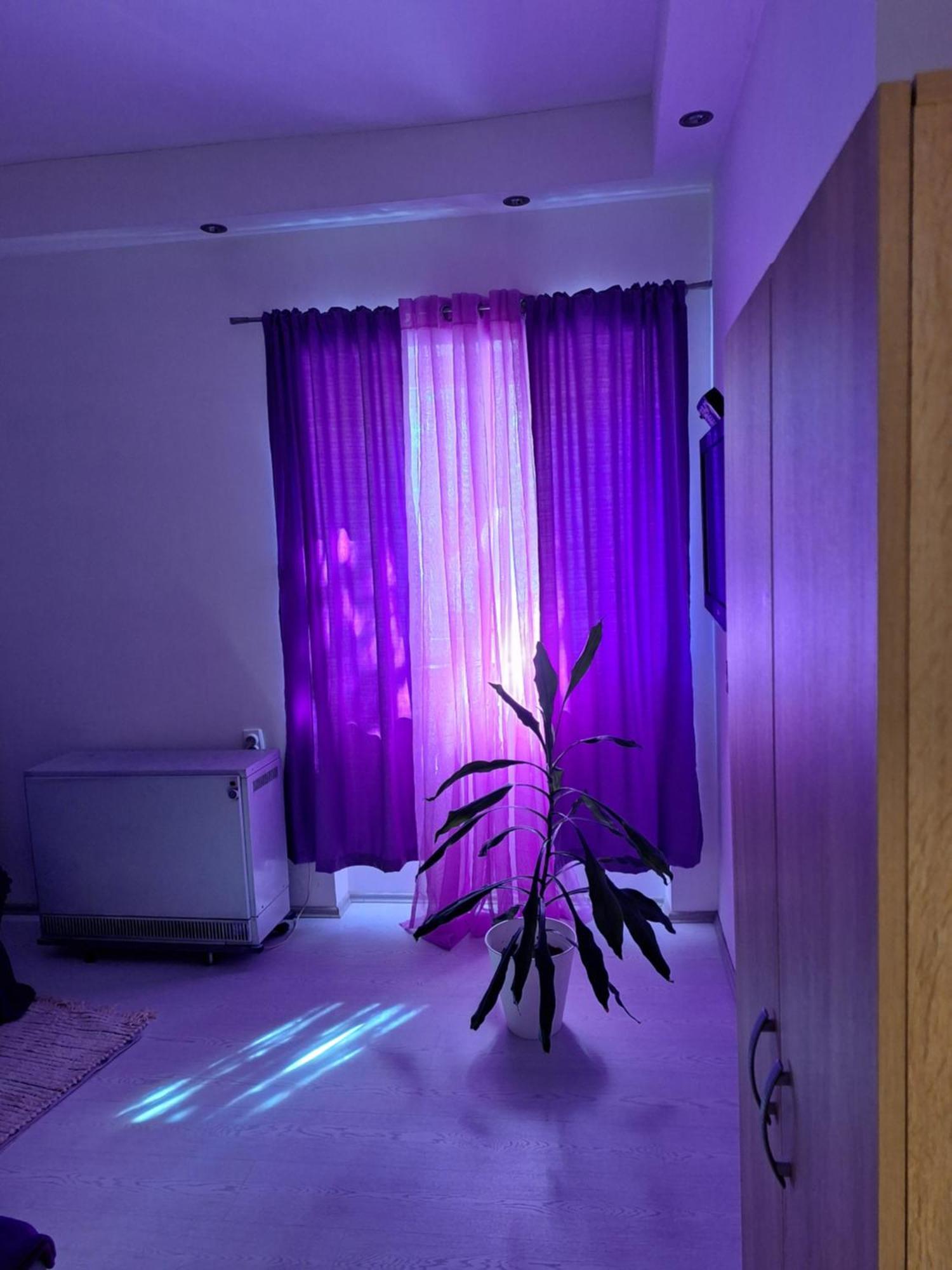 贝尔格莱德Apartman Maja公寓 外观 照片